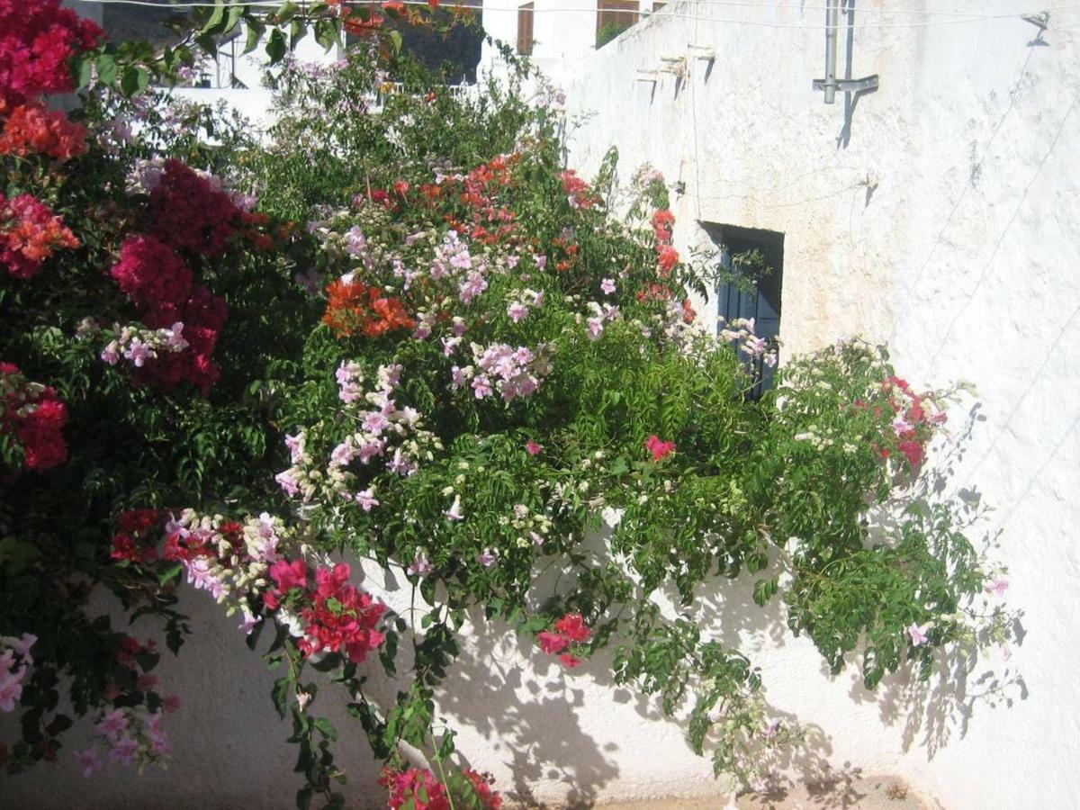 Casa De La Buganvilla Rodalquilar Exterior photo